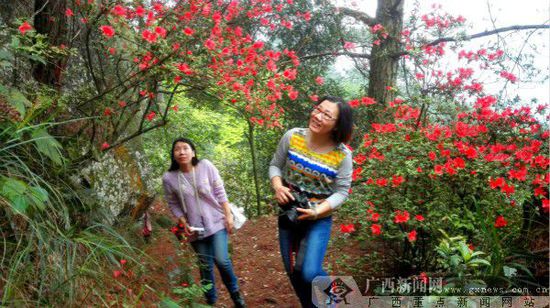 前来游玩的游客。广西新闻网记者