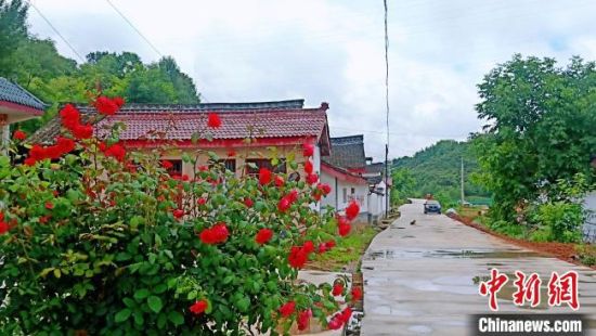 图为整改后的徽县伏家镇硖门村村容村貌，鲜花绿树环绕。(资料图) 贾寒峰 摄