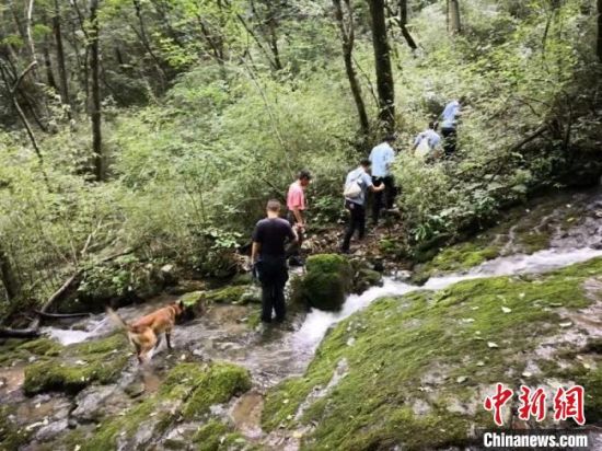 图为甘肃两当县民警在山野中搜救失踪人员。(资料图) 钟欣 摄