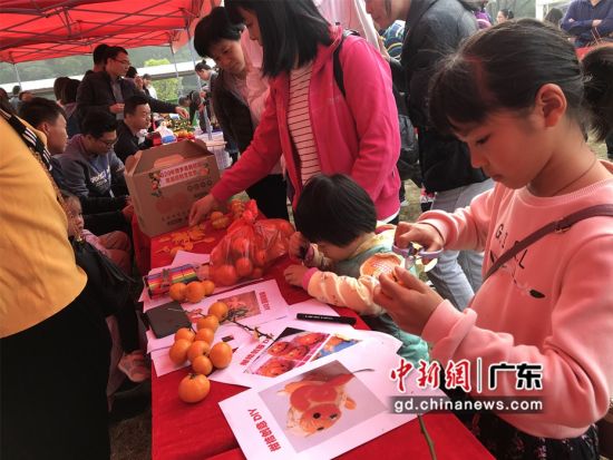 图为广东博罗县杨村镇首届柑桔文化节现场 李巧珍 摄 