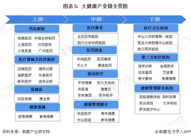 图表3：大健康产业链全景图